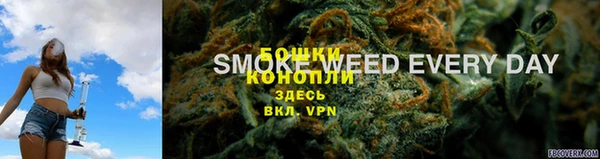 шишки Магадан