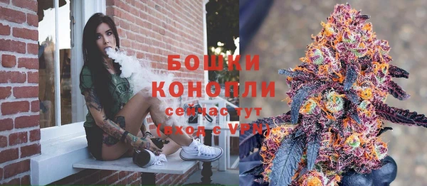 PSILOCYBIN Магас