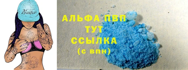 PSILOCYBIN Магас